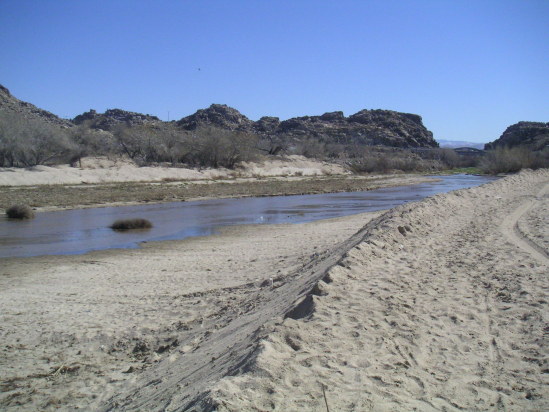 [pict2577.jpg]