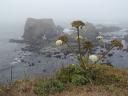 [ Natural Bridge at Mendocino ]
