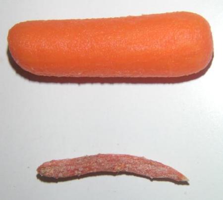 [carrot nanotube]