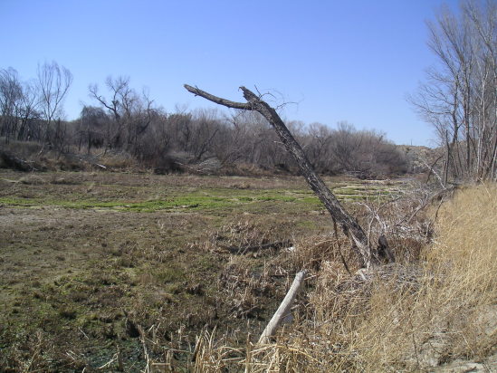 [pict2613.jpg]