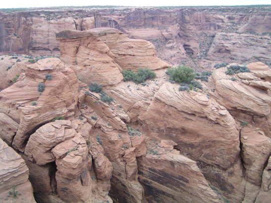 [deChelly Sandstone, stran ...]