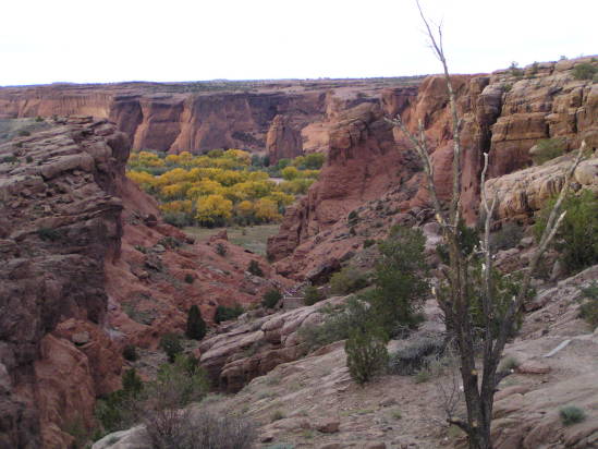 [Tunnel Canyon again.]