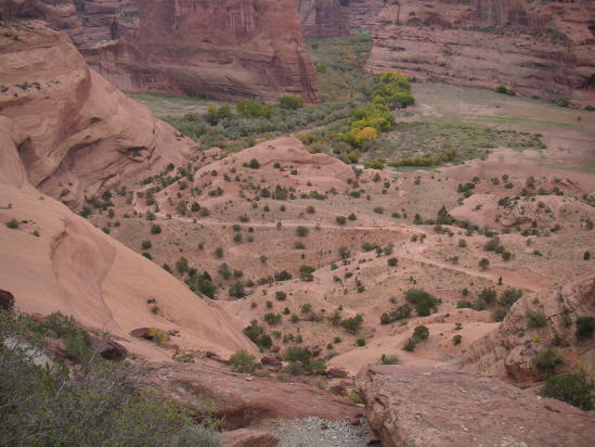 [Looking back at the trail ...]