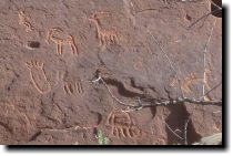 [ Cute little bighorn herd. ... ]