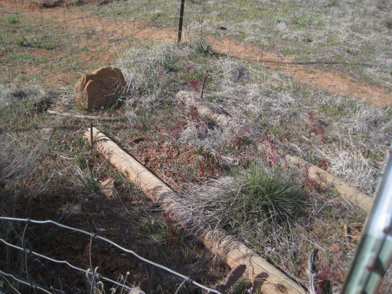 [A little area was fenced  ...]