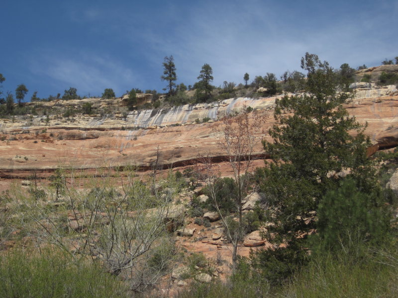 [Farther up the canyon is  ...]