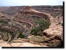 [ The promontory that leads ... ]