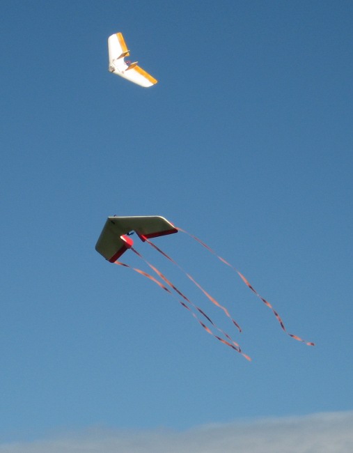 [img_7288.jpg]