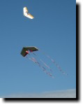 [ img_7288T.jpg ]