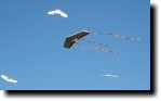[ img_7289T.jpg ]