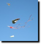 [ img_7293T.jpg ]