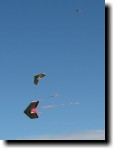 [ img_7318T.jpg ]