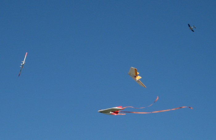 [img_7322.jpg]
