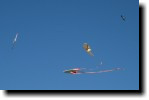[ img_7322T.jpg ]
