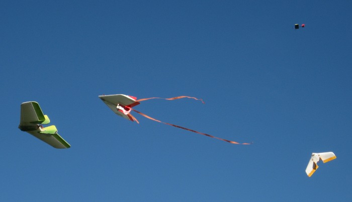 [img_7324.jpg]