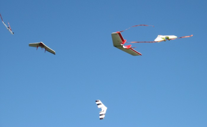 [img_7327.jpg]