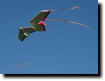 [ img_7334T.jpg ]