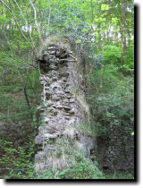 [ Ruined wall. I liked the  ... ]