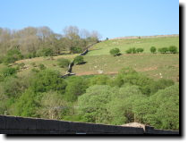 [ The hills are dotted with ... ]