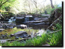 [ Lovely waterfall ]