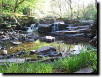 [ Lovely waterfall ]