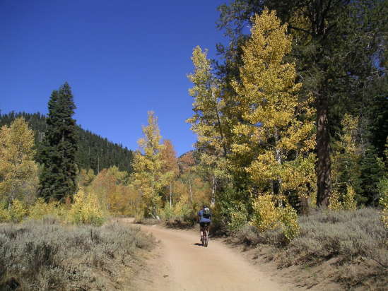 [Spectacular fall color ma ...]