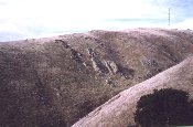 [ Mission Peak Hogback ]