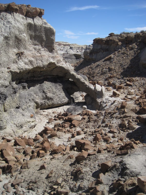 [natural bridge]