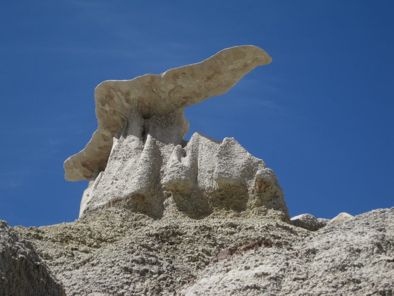 [One of The Wings from und ...]