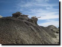 [ img_2117.jpg ]