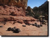[ Basalt boulders which som ... ]