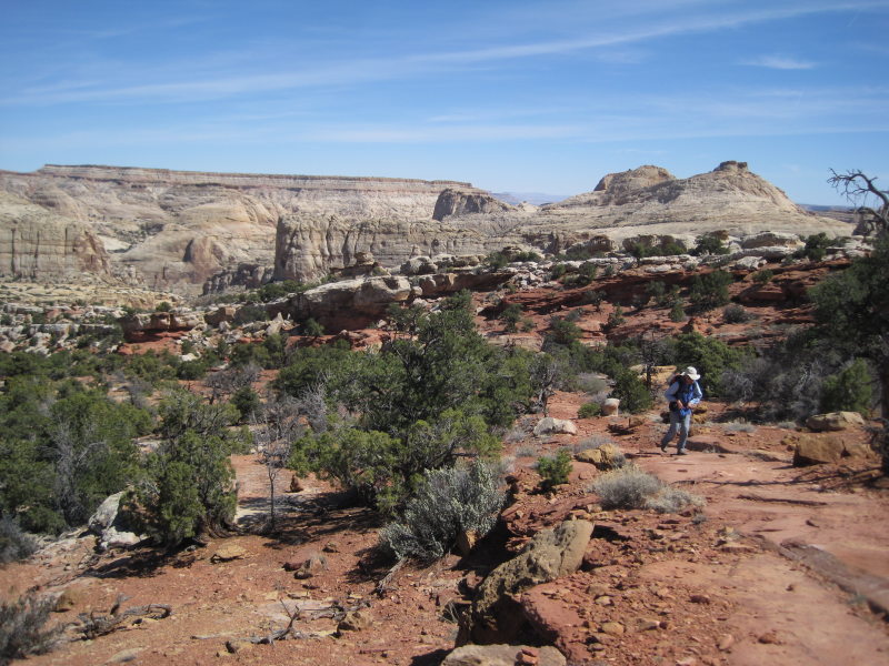 [img_2557.jpg]