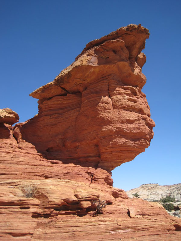 [img_2599.jpg]