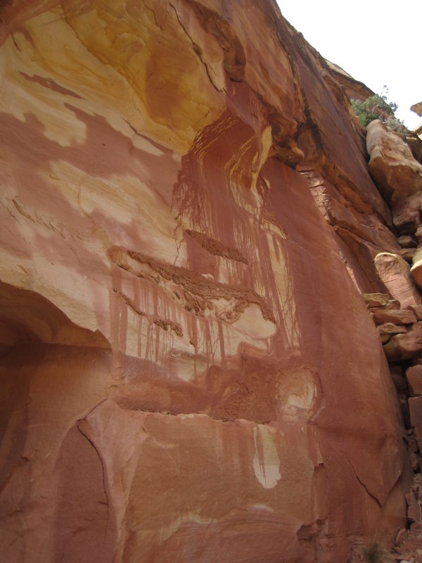 [Natural pictograms.]