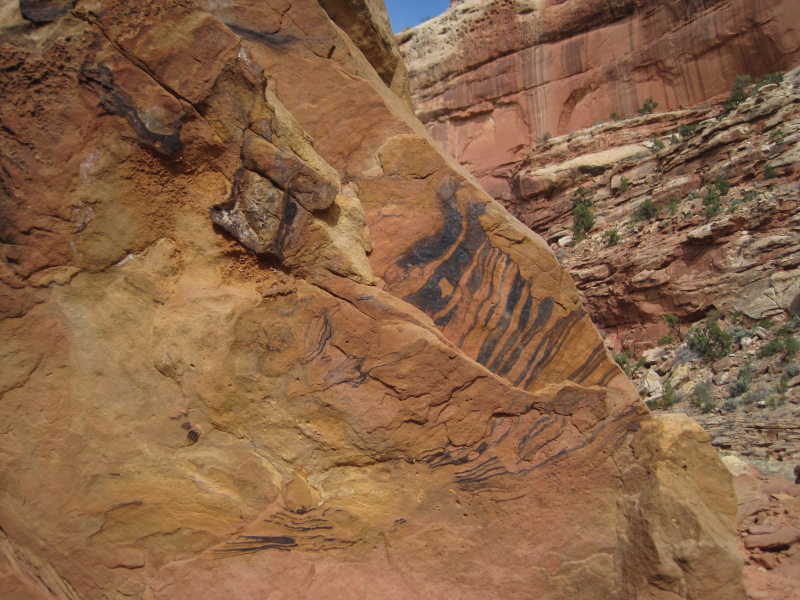 [Natural pictograms]