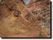 [ Natural pictograms ]