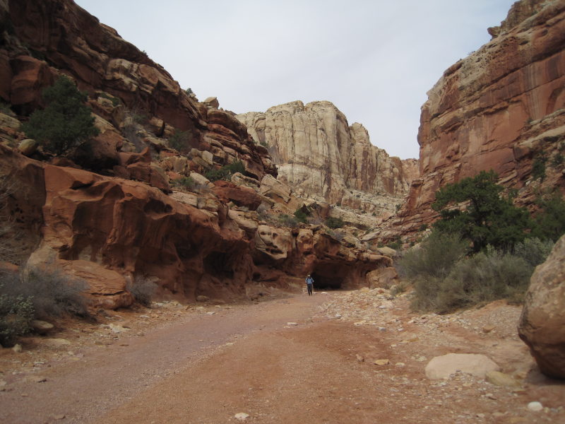 [The bottom of the trail.]