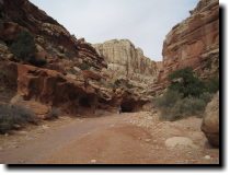 [ The bottom of the trail. ]