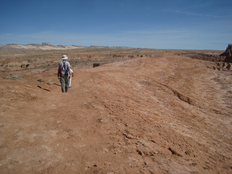 [The obvious trail from th ...]