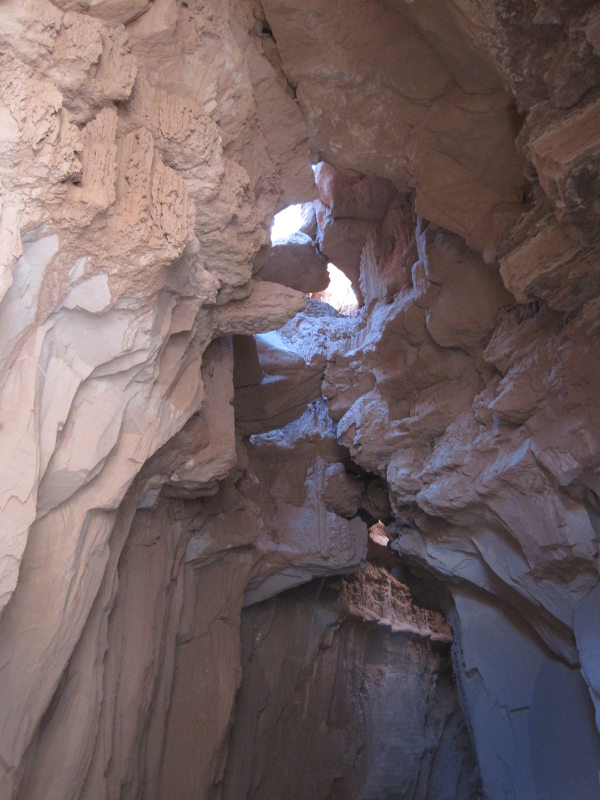 [Better view of the roof.]