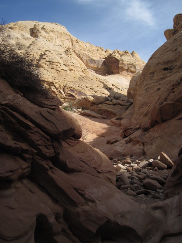 [Periodically the canyon o ...]