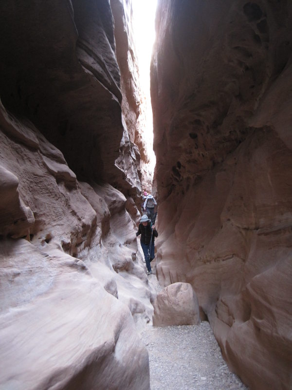 [img_2359.jpg]