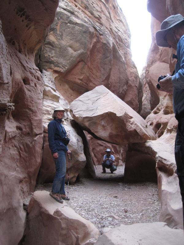 [Dave peers under a fallen ...]