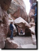 [ Dave peers under a fallen ... ]