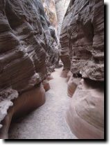 [ img_2391.jpg ]