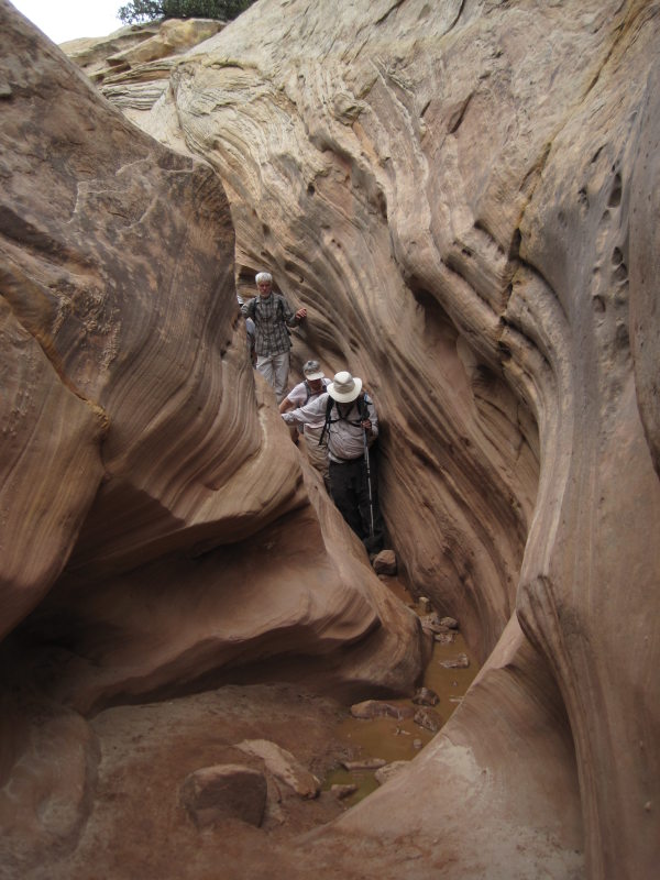 [More narrows.]