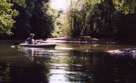 [Inlet at Loch Lomond]