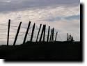 [Fence on Mission Peak]