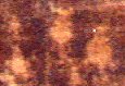 [Petroglyphs near Moab]