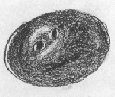 [Sunrise over Clavius]